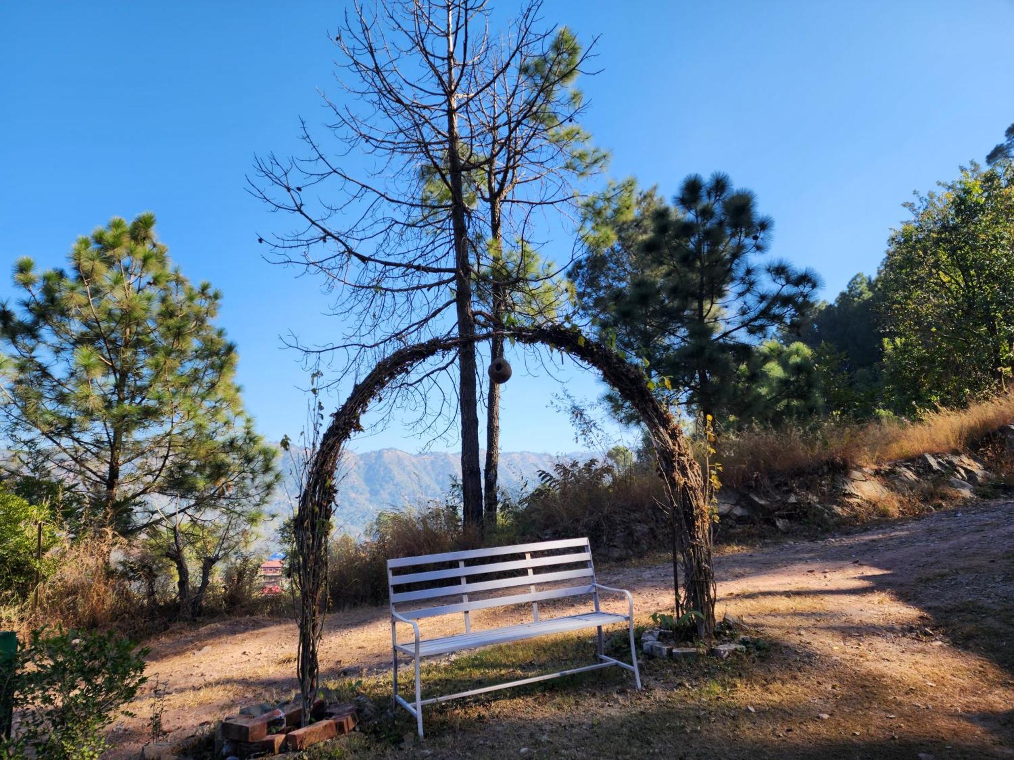 Pine Valley Resort كاساولى المظهر الخارجي الصورة