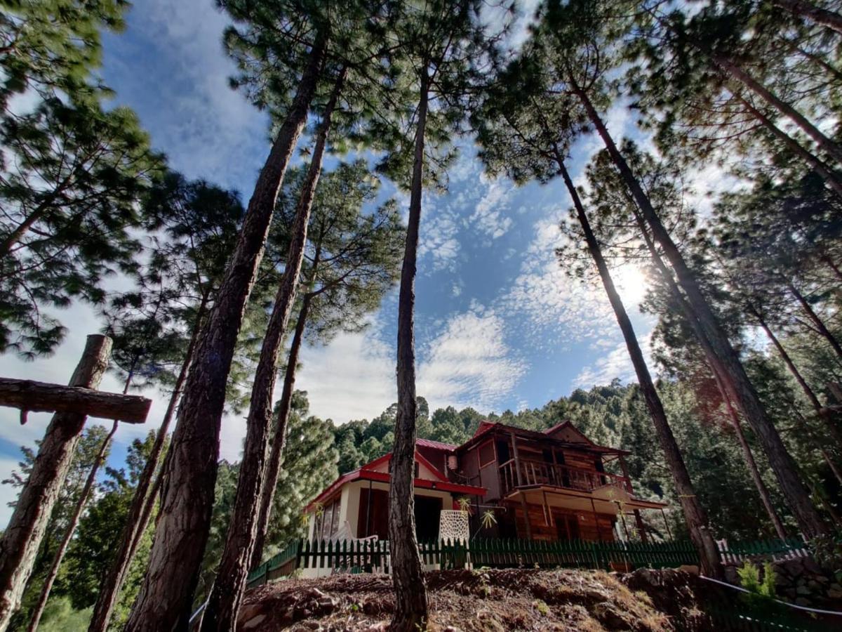 Pine Valley Resort كاساولى المظهر الخارجي الصورة